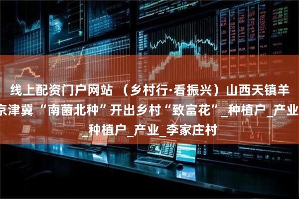 线上配资门户网站 （乡村行·看振兴）山西天镇羊肚菌登陆京津冀 “南菌北种”开出乡村“致富花”_种植户_产业_李家庄村